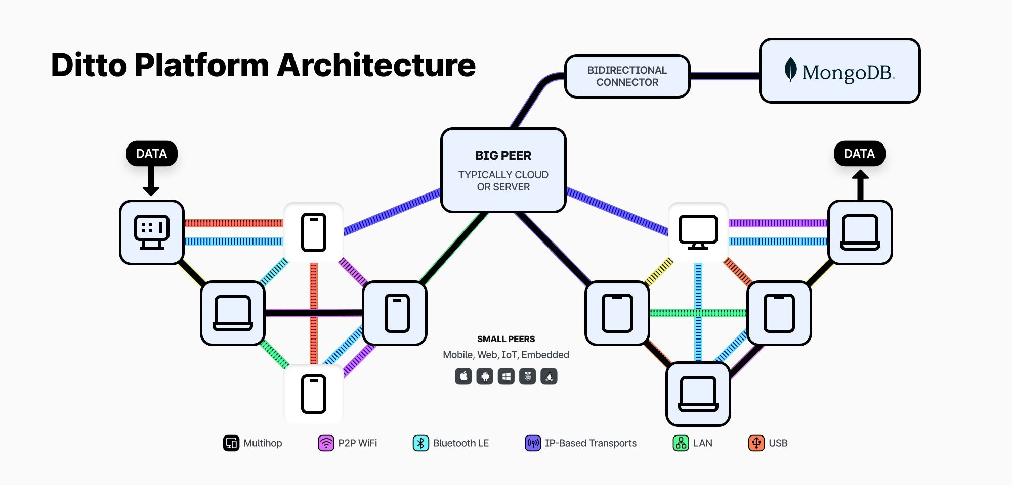 Ditto Platform Architecture